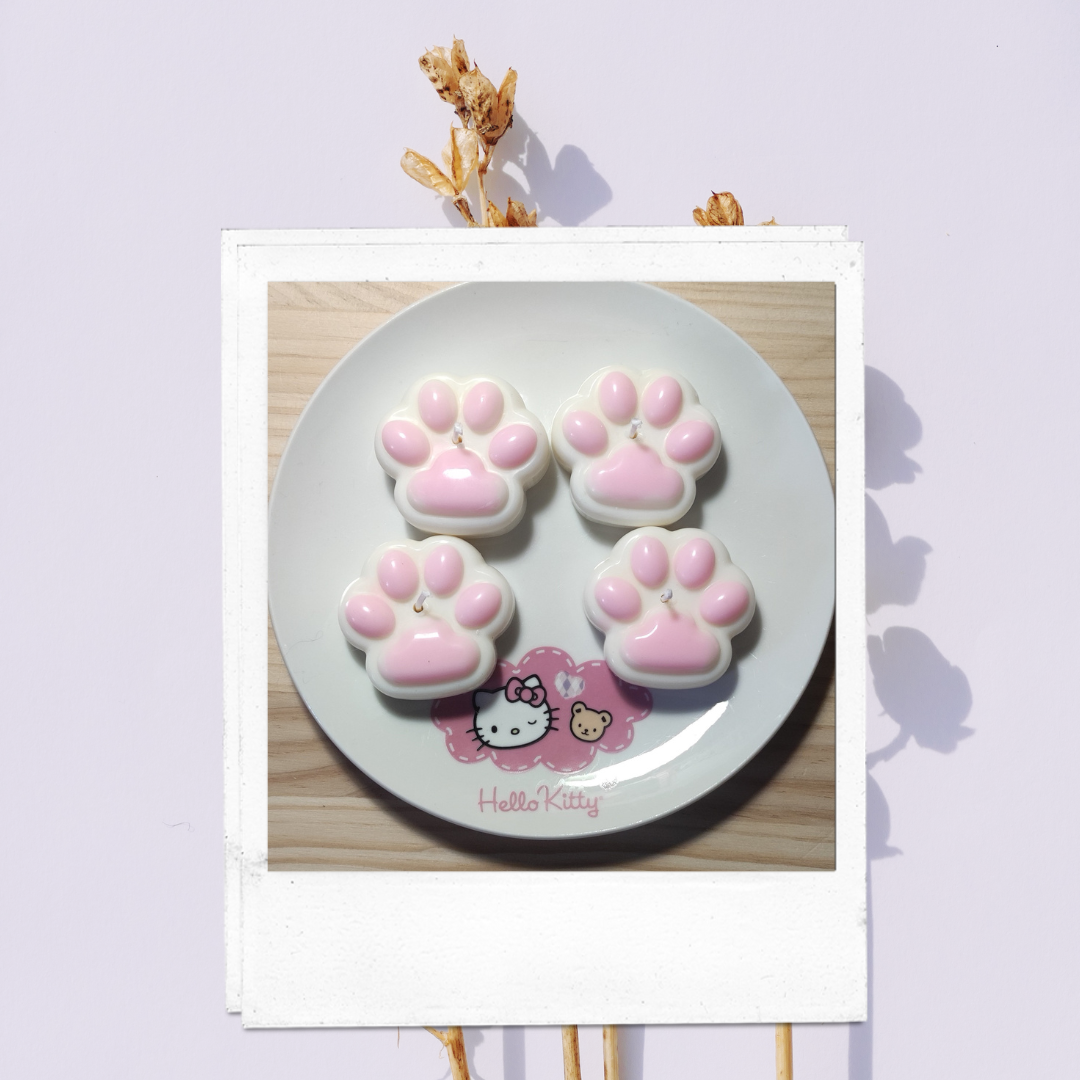 Vela compañeros de camino